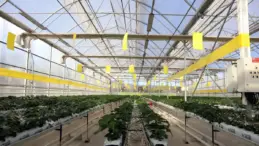 Gaziantep’ten Enerji Üretimi: 40 Bin Konutun İhtiyacı Karşılanıyor