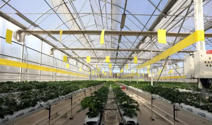 Gaziantep’ten Enerji Üretimi: 40 Bin Konutun İhtiyacı Karşılanıyor