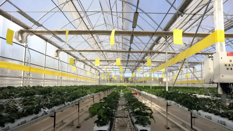 Gaziantep’ten Enerji Üretimi: 40 Bin Konutun İhtiyacı Karşılanıyor